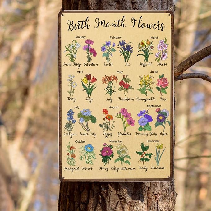 Birth Month Flower Garden Gifts Vintage Metal Tin Sign Retro Rustproof Funny Art Wall Decor Gift for Home Greenhouse Living Room Bedroom Yard Cottage Outdoor 8x12 Inch