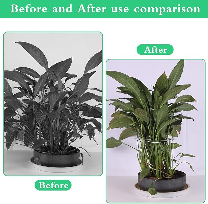 5 PCS Plant Stem Holder Support Turtle Shell Bamboo Clam Set for Climbing Plants Indoor Monstera Leaf Plant Support Accessories for Outdoor Gardens Keeps Plants Thriving Growth (White)
