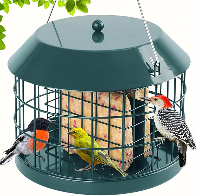 Caged Suet Bird Feeder for Outdoors Hanging, Squirrel Proof Double Suet Feeder for Small Birds, Metal Cage with Detachable Hook, Large Space, Outdoors Weatherproof, Green