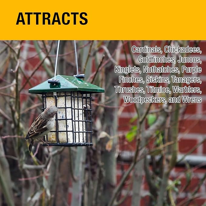 Heath Outdoor Products Woodpecker All Season No Mess Suet Cake Birders Pack, Food for Woodpeckers, Cardinals, Siskins, Sparrows, Finch's & Many More Wild Birds & More - 10oz Suet Feeder, (Pack of 16)