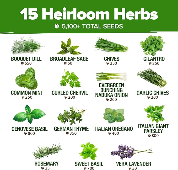 HOME GROWN 15 Herb Seeds for Planting 5,100+ Non-GMO Heirloom Seeds | Extra Large Variety Pack Herb Kit – Indoor Outdoor & Hydroponic | Culinary Seed Set | Grow Your Own Herbs | Gardening Gift