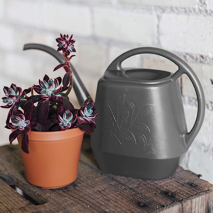 Bloem Deluxe Watering Can