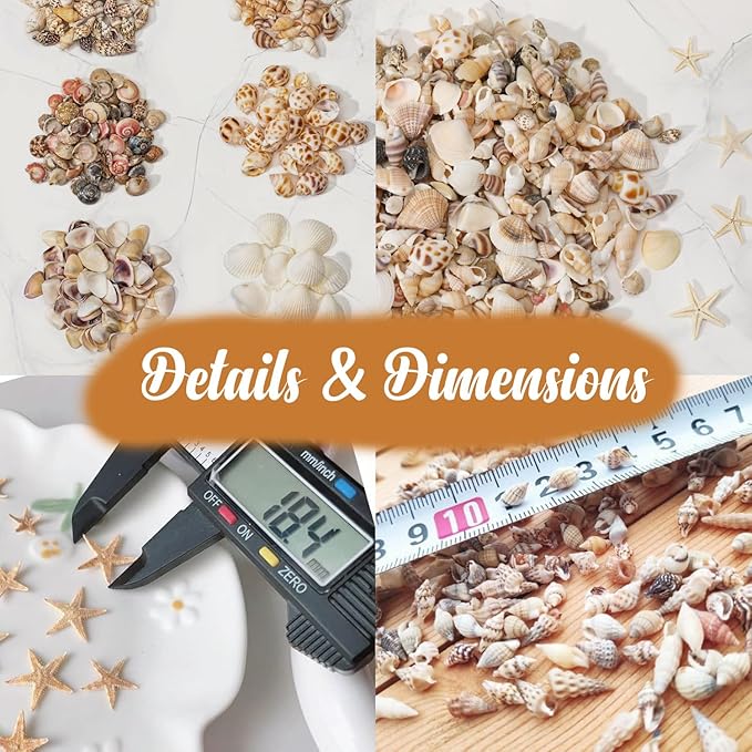 1200 PCS Natural Seashells, Joyfulmap Tiny sea Shells & Small Starfish for Decorations, Mixed Ocean Beach Spiral Shells for Crafting, Fish Tank, Beach Theme Party, Wedding Decor, DIY Craft Supplies