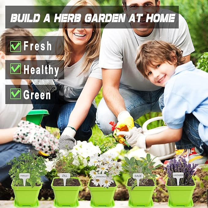 10 Herb Seeds Garden Starter Grow Kit with Green Pots, Markers, Soil Discs, Watering, Herb Clipper, Complete Indoor Potted Plant Growing Set for Kitchen DIY