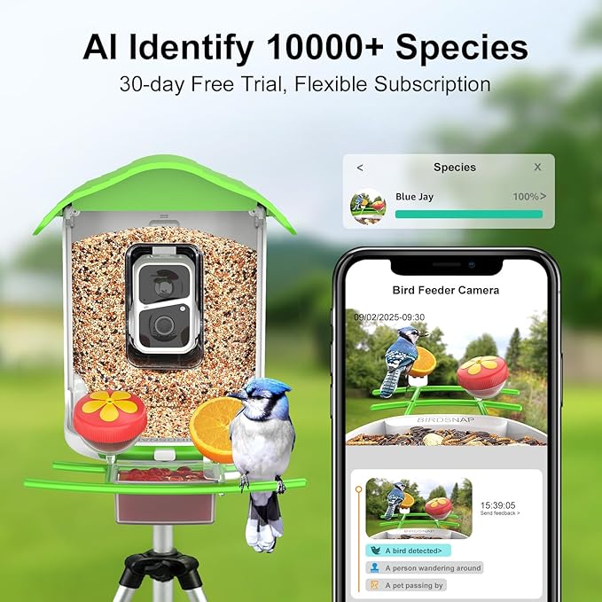 birdsnap® PAV-Bird Feeder with Camera,2K HD with 64GB Card, AI Identify Smart Bird House Cam Solar Panel,Live Stream,Motion Detection,Auto Record Video for Backyard Outdoors,Ideal Gift for Bird Lover