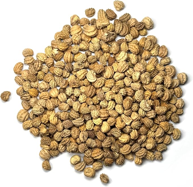 Seed Needs Flower Seeds Nasturtium Double Gleam Seed Edible Multicolor Blooms | 350+ Heirloom Seeds Tropaeolum Majus Untreated Bulk Flower Seed | 1.5 Ounce Resealable Pouch