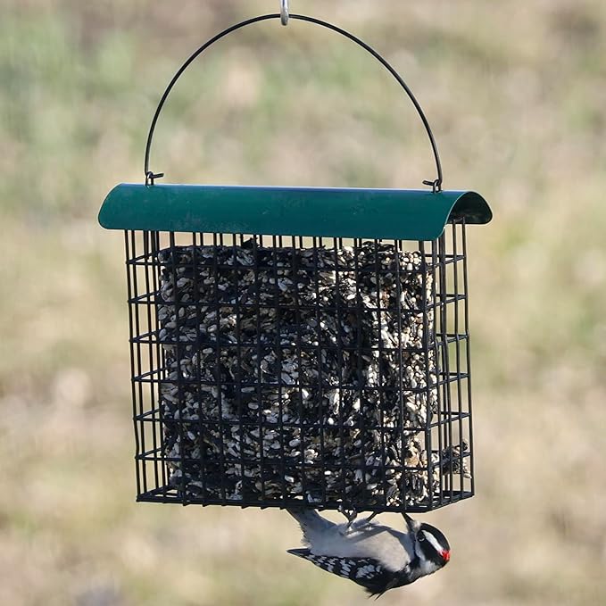 Backyard Essentials Large Suet Feeder - Metal Woodpecker Suet Cage with Metal Roof - Holds 1 Large Seed Cake
