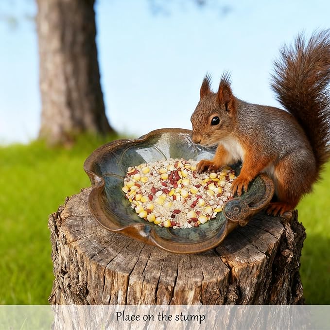 Ceramic Bird Bath and Feeder, Heavy Duty 12.5-Inch Ground Feeding Bowl, Wildlife Water Station for Squirrel Rabbit Bird Bee - Garden, Yard, Balcony Décor