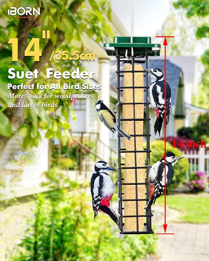iBorn Metal Double Suet Feeder,Durable Suet Cake Cage Bird Feeder for Outdoors Hanging，Metal Roof Bird Feeder with Taller Grid for Woodpeckers,Large Suet Holder,Easy Clean & Refill,1 Pack,Green