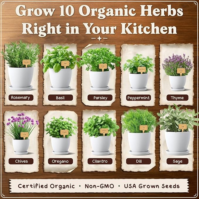 Seedboy Organic 10 Herb Garden Starter Kit for Planting Indoor or Outdoor, Non-GMO USDA Certified Seed, Cool Unique Gift for Gardeners, Mom Birthday, Friends, Plant Lovers (Herb Garden Starter Kit)