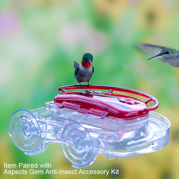 Aspects ASPECTS437 The Gem Window Hummingbird Feeder