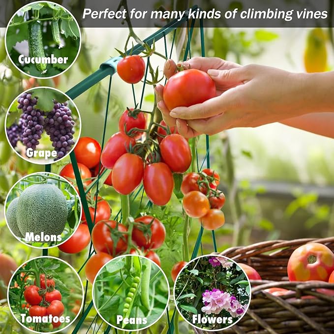 Thickened Cucumber Trellis for Raised Garden Bed,48"x16" Foldable Frame Metal Vegetable Trellis for Climbing Plants Outdoor Plant Support for Grape Tomato Peas, Fruit, Vine,Bean(Green)