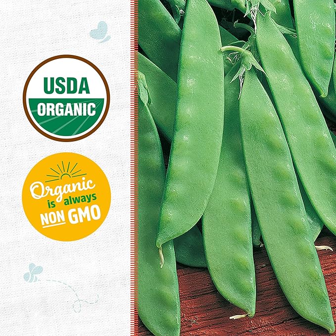 Back to The Roots 100% Organic Heirloom Seeds - Snow Pea Value Pack (16.8g Total)