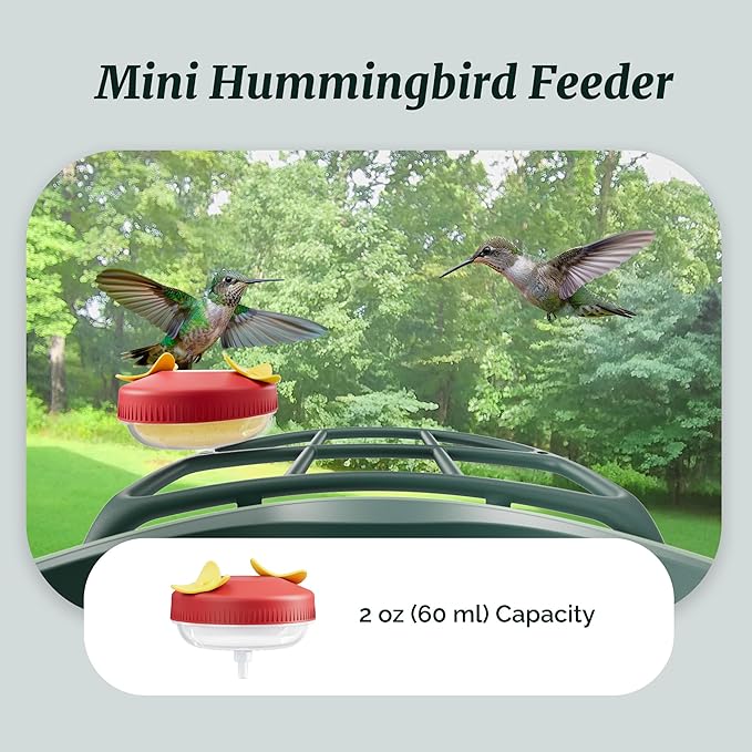 Beako™ Complete Bird Feeder Kit DIY Add-Ons Including Mini Hummingbird Feeder, 2 Fruit Holders, Jelly Feeder, Compatible with Beako™ Smart Bird Feeder with Camera to Attract More Birds