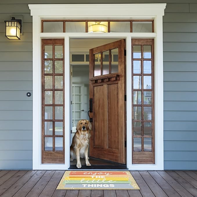 DII Natural Coir Doormat Outdoor Welcome Mat, 17x29, Enjoy The Little Things