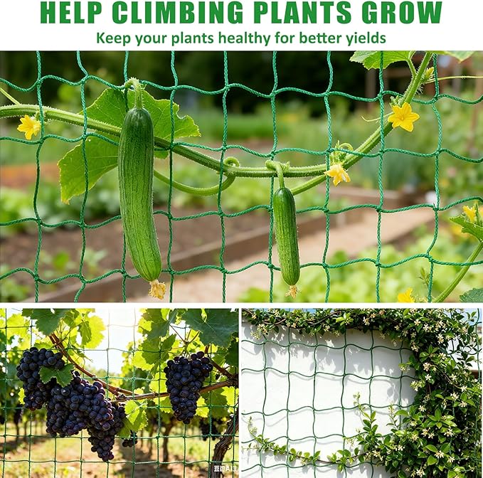 6.6x16.4FT Trellis Netting for Climbing Plants,Trellis Netting with Plant Clips, Heavy-Duty PE Trellis Net for Cucumber, Tomato, Vegetables, Fruits, Sweet Pea Plants