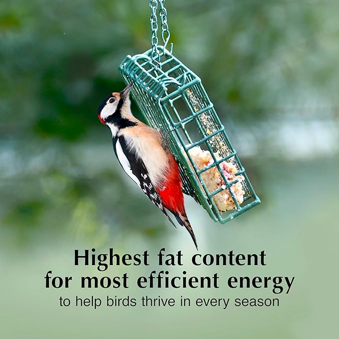 C&S Party Mix Suet Treat, Suet Cakes for Wild Birds, 11 Ounces, Pack of 8