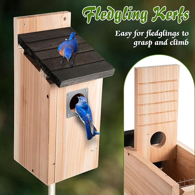 Dreyoo Cedar Bluebird Box Houses for Outside, 1-1/2'' Entrance Hole Wooden Bird Houses with Metal Guard, Secure Latch, Fledgling Grooves, Air Vents for Bluebird Wren Swallow(2 Pack)
