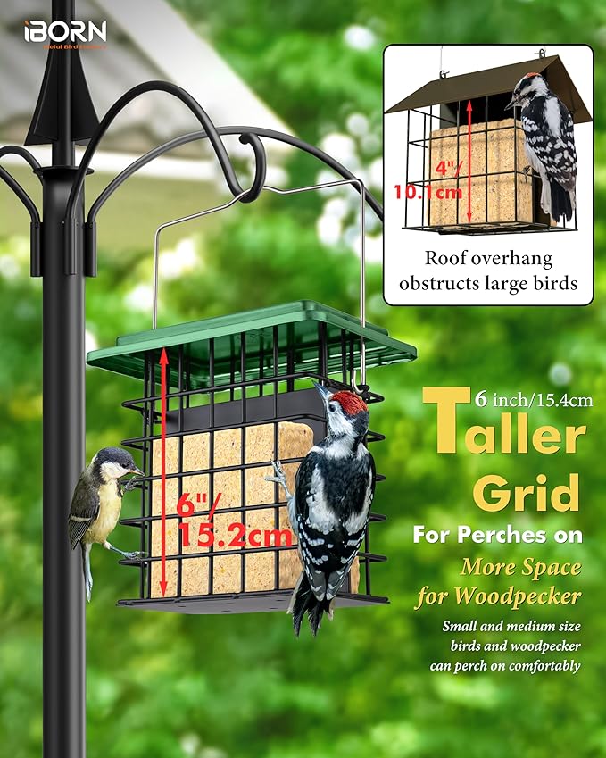 iBorn Double Suet Feeder- Metal Roof Bird Feeder with Taller Grid for Woodpeckers, Suet Cake Cage Bird Feeder for Outdoors Hanging,Easy-Clean & Refill,Green (1 Pack)