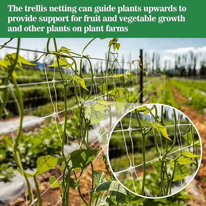 Sukh Garden Plant Trellis Netting -Trellis Net Polyester Trellis Netting Garden Square Mesh for Climbing Plants Fruits Vegetables VinesGrow Tents (6)