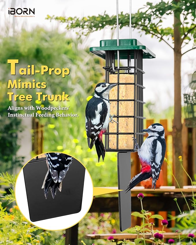 iBorn Suet Feeder with Tail Prop,Woodpecker Feeder,Suet Feeders for Outside Hanging,Suet Bird Feeders for Outdoors,Heavy-Duty Suet Cage,Suet Holder,Rainproof Roof,Easy Clean and Refill,1 Pack,Green