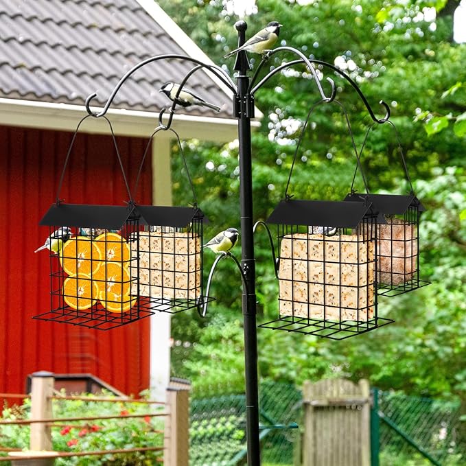 Nuogo 4 Pcs Wild Bird Feeder Squirrel Proof Outdoor Hanging Suet Holder with Metal Roof and Platform Outside Cake Suet Feeder Rainproof Cage for Oriole Hummingbird Chickadee Nuthatch(Black)