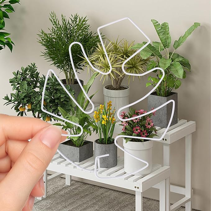 5 PCS Plant Stem Holder Support Turtle Shell Bamboo Clam Set for Climbing Plants Indoor Monstera Leaf Plant Support Accessories for Outdoor Gardens Keeps Plants Thriving Growth (White)