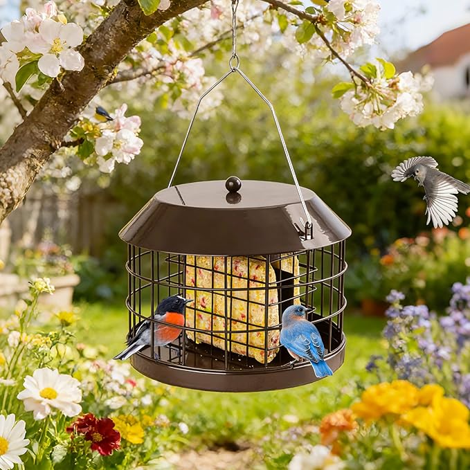 Caged Suet Bird Feeder for Outdoors Hanging, Squirrel Proof Double Suet Feeder for Small Birds, Metal Cage with Detachable Hook, Large Space, Outdoors Weatherproof, Brown