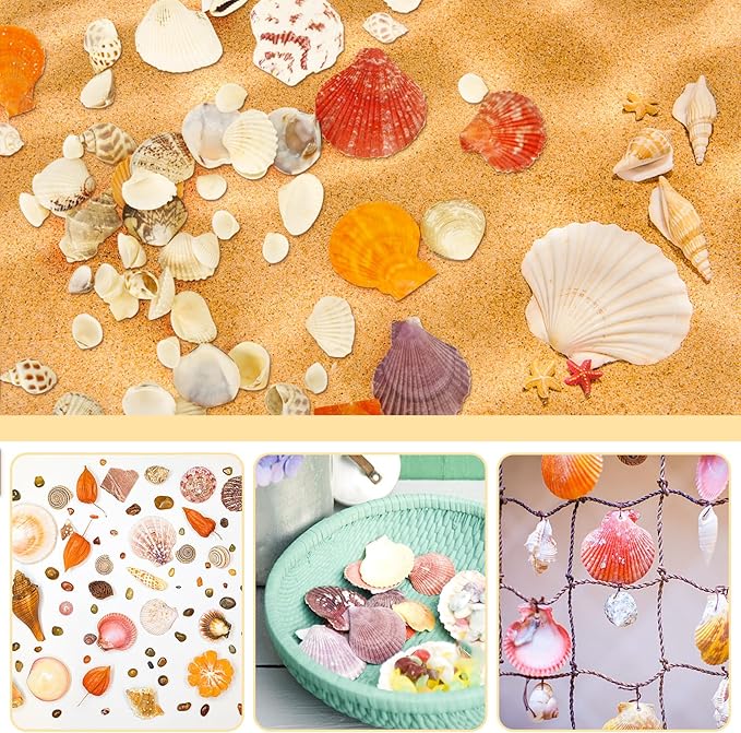 Mixed Sea Shells, 100+ Pcs Beach Seashells Starfish, Various Sizes Ocean Seashells for Fish Tank Vase Fillers, Beach Theme Party Wedding Decor, Candle Making, DIY Crafts