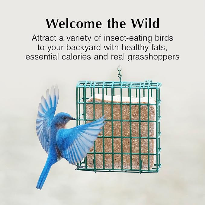 C&S Insect Delight No Melt Suet Dough, Suet Cakes for Wild Birds, 11.75 Ounces, 8 Pack