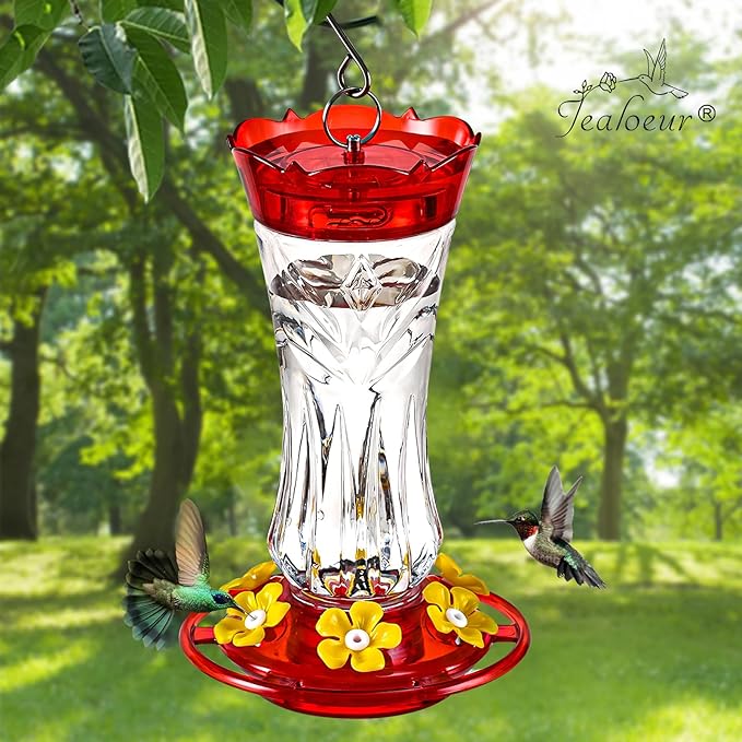 2 Pack Hummingbird Feeder for Outdoors Hanging, 18 OZ Humming Birds Feeders with 6 Bee Guard Feeding Ports & Built-in Ant Moat, Easy to Clean, Durable Outdoor Garden Decor(Clear AA)