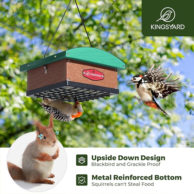 Kingsyard Upgraded Upside Down Double Suet Feeder with Metal Weatherproof Roof, Squirrel-Proof Metal Edging, Suet Feeders for Outside Hanging, Great for Attracting Woodpecker, Nuthatch, Titmouse