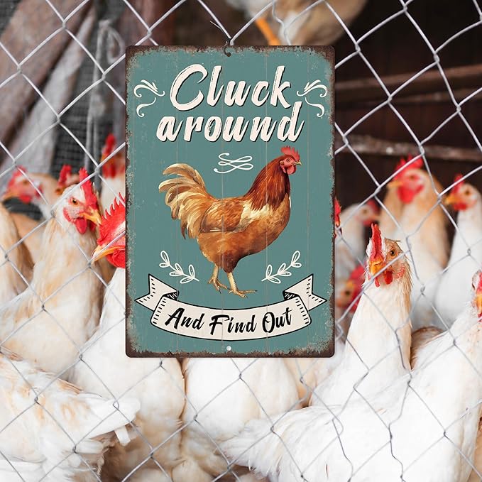 Putuo Decor Funny Chicken Cluck Around And Find Out Tin Sign Funny Chicken Sign Farm Chicken Coop For Kicthen Garden Decor Vintage Metal Tin Sign Wall Plaque For Yard Outdoor Decor 12x8 Inch