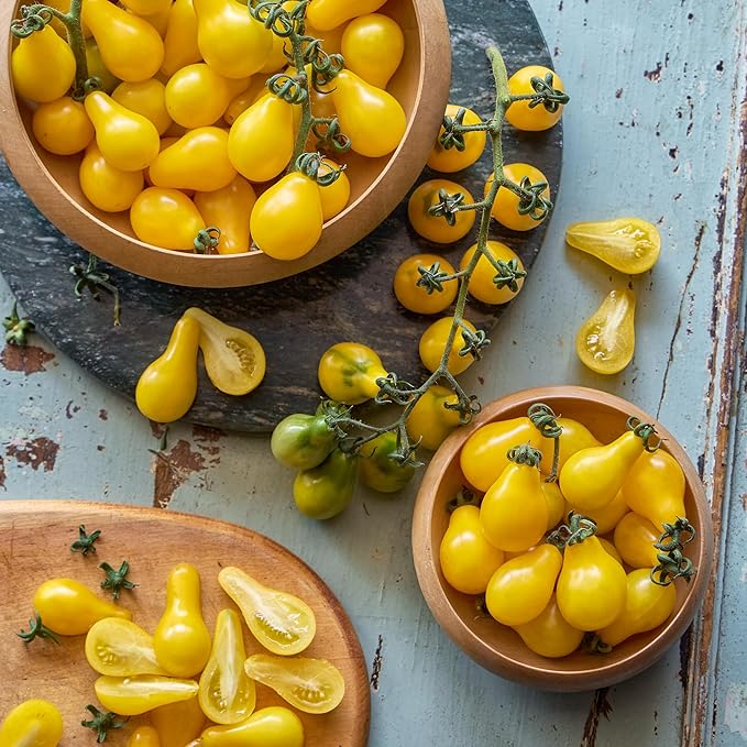 Burpee 'Yellow Pear' Heirloom Tomato Seeds - Non-GMO, Indeterminate, Heirloom, Cherry Tomato, 200mg Seed Packet for Home Gardening