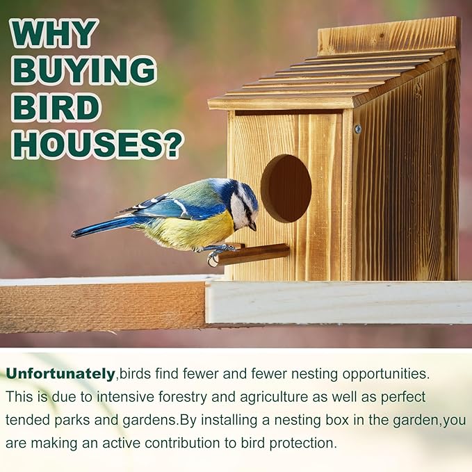 Tradder 3 Pcs Wood Bird Houses for Outside with Pole Hanging Bluebird Wooden Birdhouse for Outdoor Small Bird Nest Box for Finch, Bluebird, Hummingbird, Parakeet Garden Perch