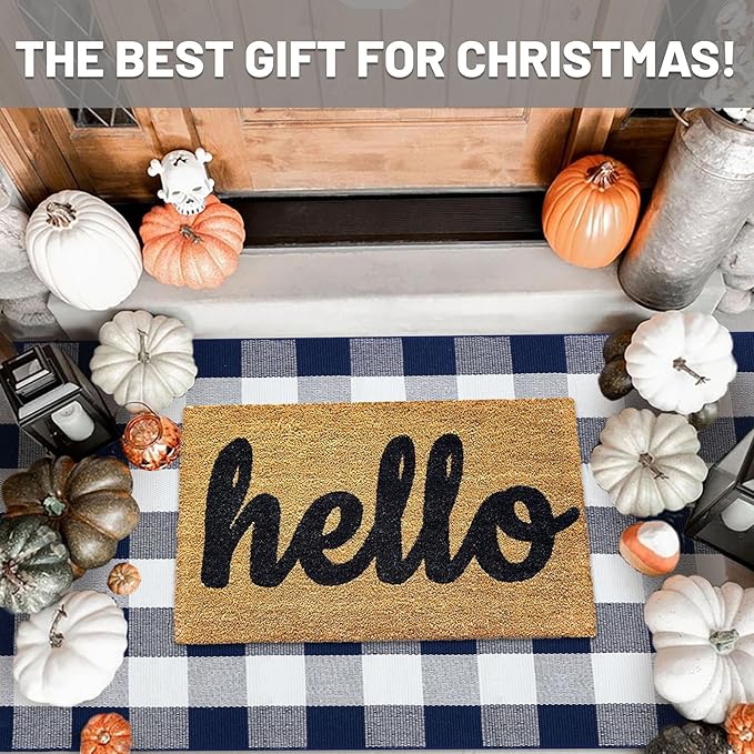 IOHOUZE Buffalo Plaid Checkered Rug 3x5 Ft Front Door Mats, Washable Area Rugs for Front Porch Decor, Spring Summer Welcome Mats Outdoor, Navy White Rug for Farmhouse/Entryway/Home Entrance