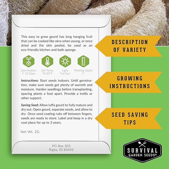 Survival Garden Seeds - Luffa or Loofah Seed for Planting - 5 Packets with Instructions to Plant and Grow Ornamental Gourds in Your Home Vegetable Garden - Non-GMO Heirloom Variety