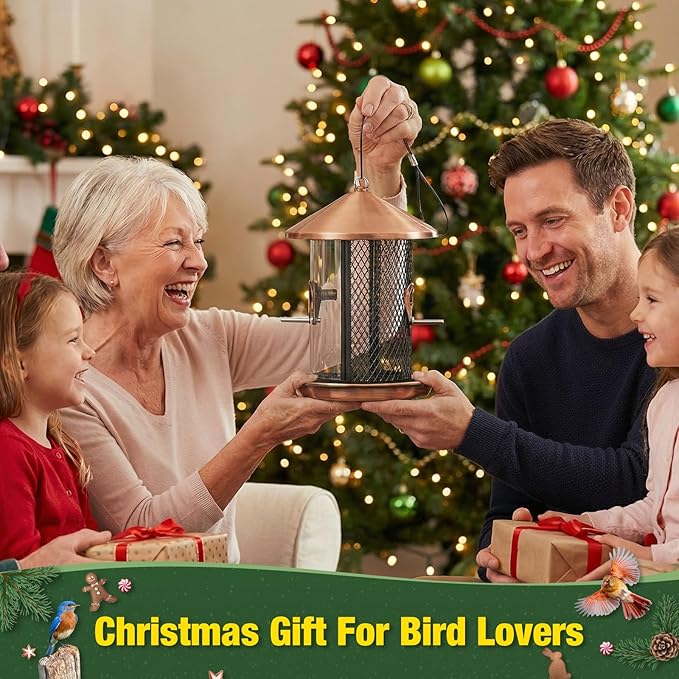 Kingsyard Metal Bird Feeder for Outdoor Hanging - Chew Proof Bird Finch Cardinal Feeder with Dual Chamber of 4 lbs Capacity for Bluebird, Antique Copper