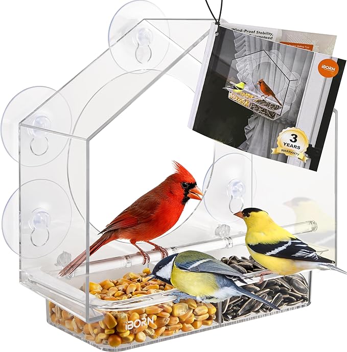 iBorn 2026 New Window Bird Feeders for Outdoors Wind-Proof Tray Lock,Cardinal Bird Feeder with Strong Suction Cups for Window Birds Watching, Chewproof PC, for Parent &Child