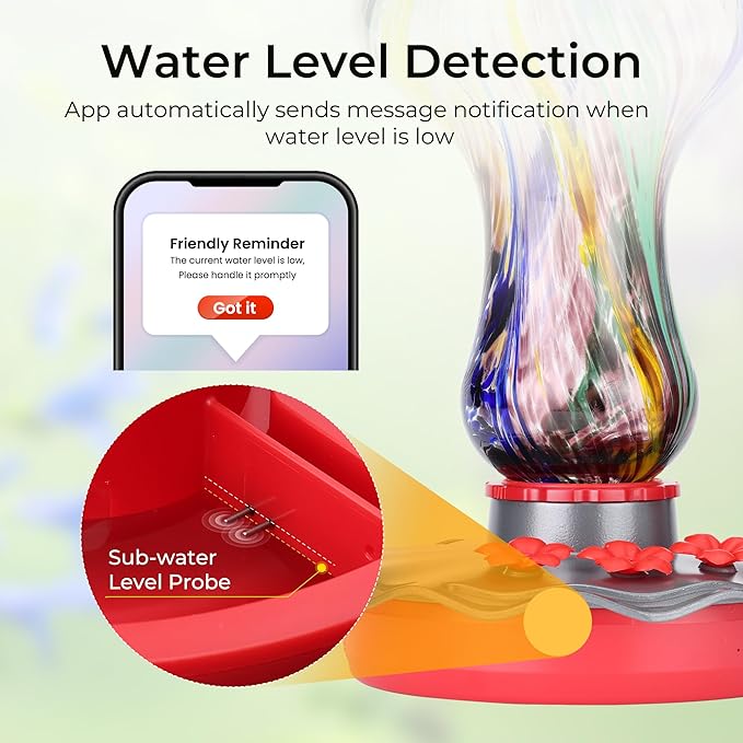 TT Nature Glass Smart Hummingbird Feeder with Camera Solar Powered 2K- AI Identify & Water Detection, Instant Notification, Leakproof & Ant Moat, Compatible with Alexa & Google Assistant