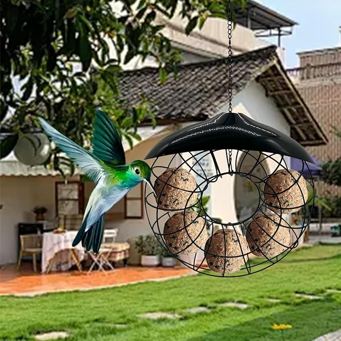 Suet Ball Hanging Wild Bird Feeder Bird Feed Dispenser Suet Ball Holder for Outside Fat Ball Feeder Orbicular Shaped