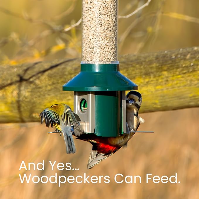 Roamwild PestOff 2.0 Squirrel Proof Wild Bird Feeder Mixed Seed Sunflower Heart Version - GREEN - HUGE 4LBS SEED CAPACITY – 26”x8”x8” (w/hanger)