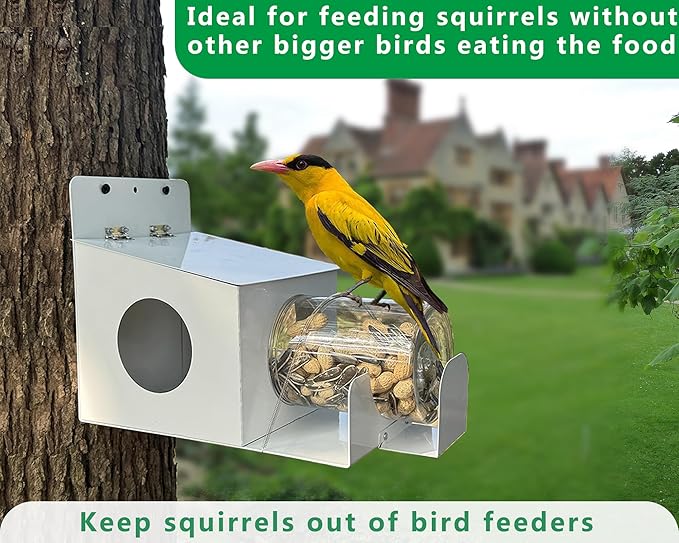 Squirrel Feeder,Metal Squirrel Feeders for Outside,Sturdy Squirrel House with Plastic Removable Nut Peanuts Storage Bottle,Weather-Proof Squirrel Feeders for Outdoors Easy to Fill and Clean