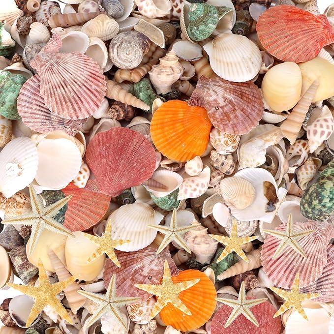 Mixed Sea Shells, 300+ Pcs Beach Seashells Starfish, Various Sizes Ocean Seashells for Fish Tank Vase Fillers, Beach Theme Party Wedding Decor, Candle Making, DIY Crafts