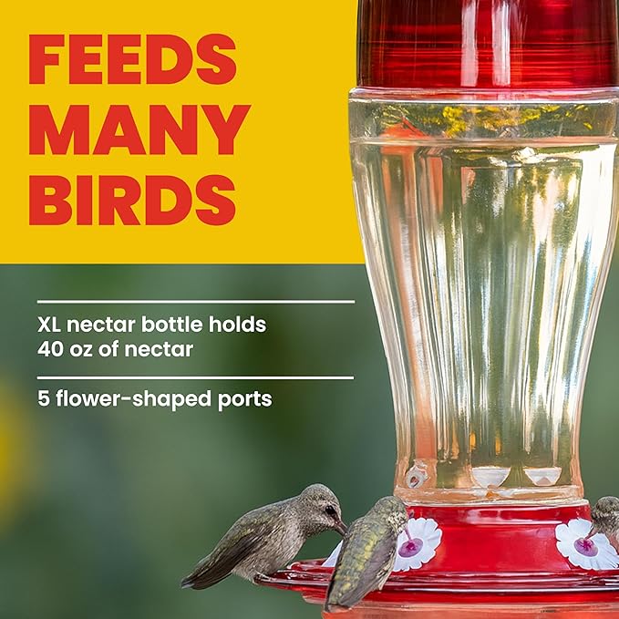 More Birds Bird Health+ Big Gulp Hummingbird Feeder, Glass Hummingbird Feeders for Outdoors, 5 Feeding Stations, 40 Ounces