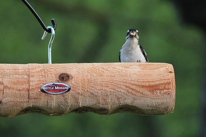 Kettle Moraine Cedar Upside Down Clinger Suet Plug Log Feeder