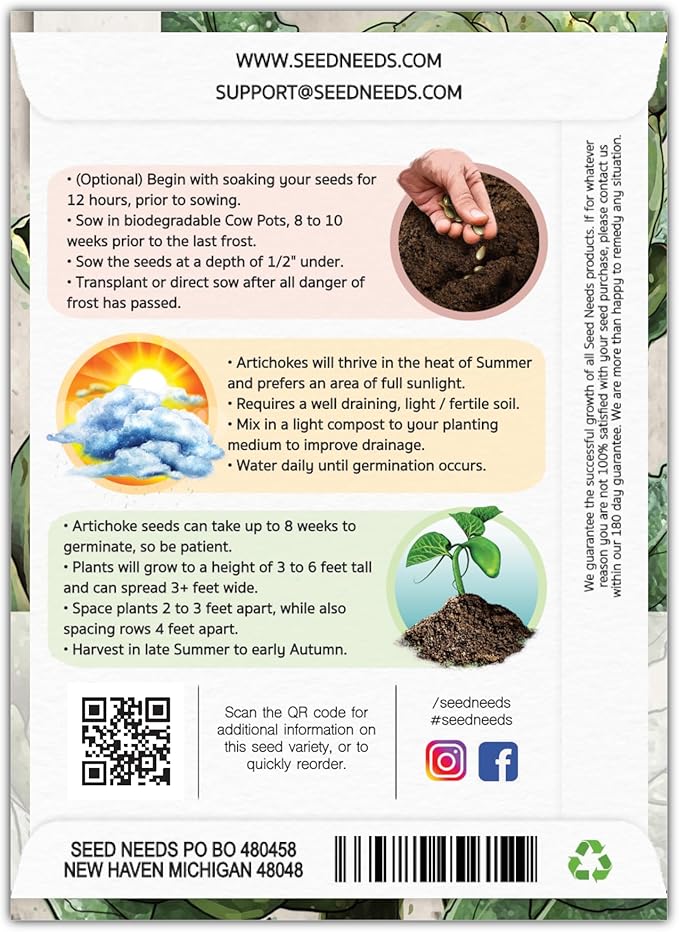 Seed Needs Artichoke Seeds for Planting Green Globe Artichokes - Non-GMO Heirloom & Untreated - Grow an Outdoor Home Grown Vegetable Garden for Fresh Produce (1 Pack)