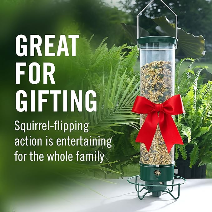 Droll Yankees Squirrel Proof Bird Feeders for Outdoors - YF-M - Flipper, Collapsible Perches, 5-Pound Seed Capacity, Green