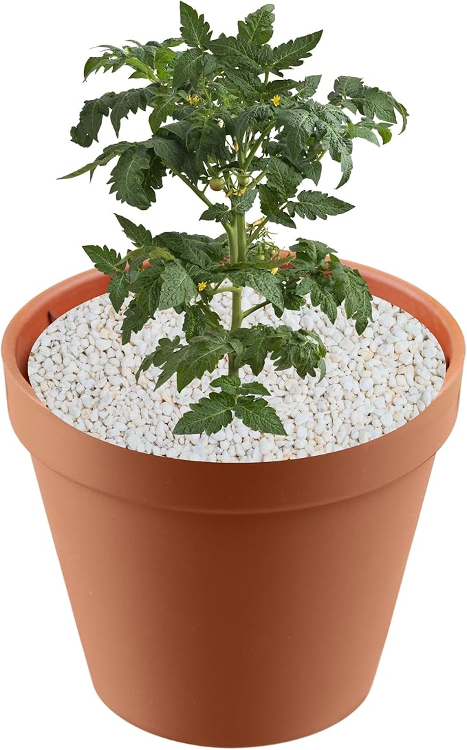Organic Perlite for Plants - Ideal for Potting Mix & Indoor Gardening - Premium, All-Natural - 2 Quart