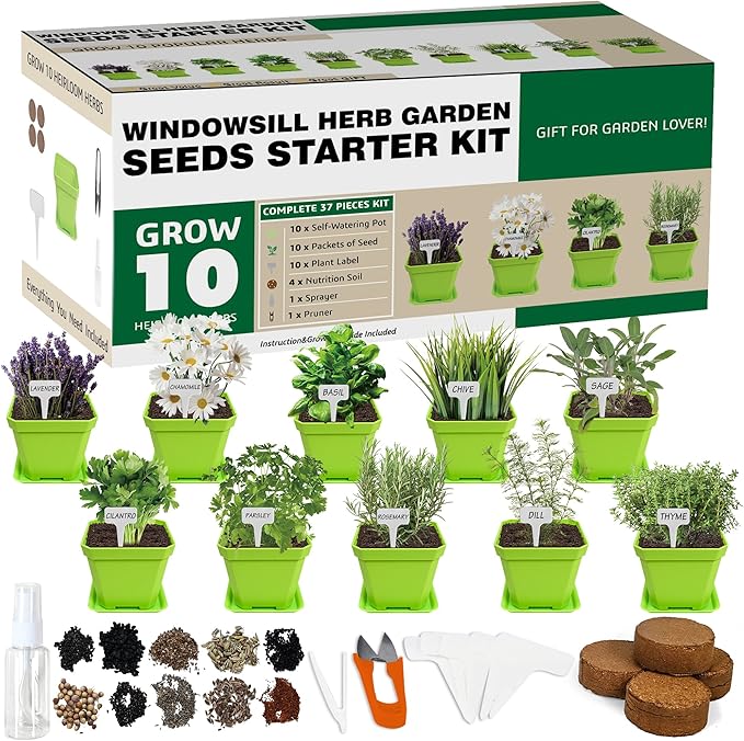 10 Herb Seeds Garden Starter Grow Kit with Green Pots, Markers, Soil Discs, Watering, Herb Clipper, Complete Indoor Potted Plant Growing Set for Kitchen DIY